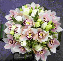 Orchid Bridal Hand-tied